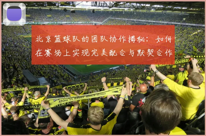 北京篮球队的团队协作揭秘：如何在赛场上实现完美配合与默契合作