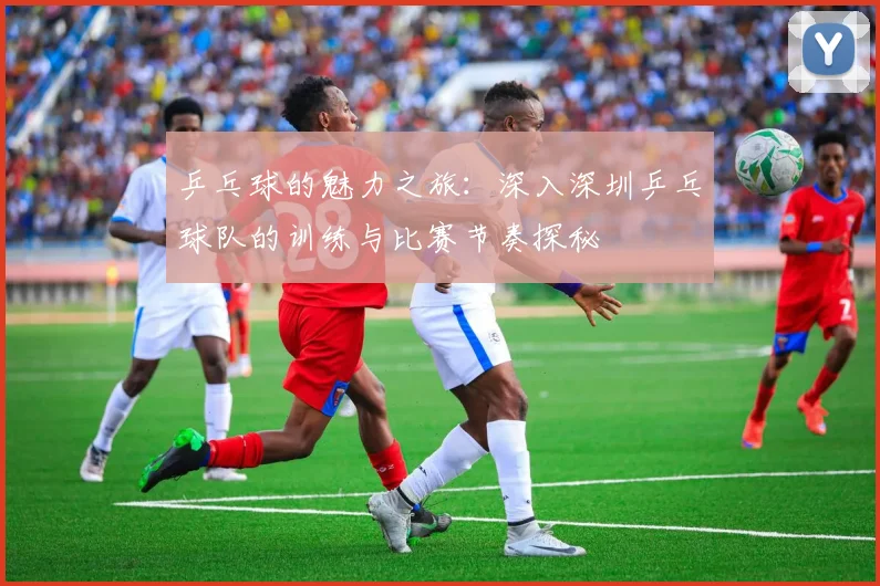 乒乓球的魅力之旅：深入深圳乒乓球队的训练与比赛节奏探秘