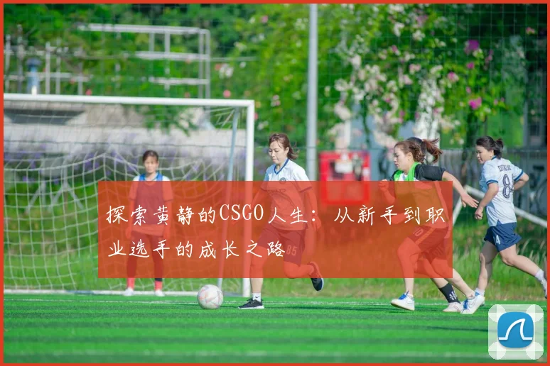 探索黄静的CSGO人生：从新手到职业选手的成长之路